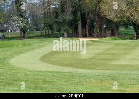 Maidenhead, Regno Unito. 19th aprile 2023. Cala Homes prevede di costruire 1.800 case sul Maidenhead Golf Club (nella foto) nella circoscrizione di Theresa May MP nel Berkshire, quando il loro contratto di locazione scade nel 2025. Ciò nonostante il fatto che la terra è stata data al popolo di Maidenhead da Lord Desborough. Il Maidenhead Golf Club non è riuscito a comprare il John Lewis Partnership Golf Club a Winter Hill a Cookham. L'offerente preferito è Safegolf Ltd Una veglia è stata tenuta dai residenti locali ieri sera fuori Maidenhead Town Hall lutto la perdita di 200 ettari di vitale spazio verde e habitat naturali a Maid Foto Stock