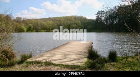 Una vista lungo un vecchio molo in legno a fosse Arthour nella campagna della Normandia, Francia, Europa Foto Stock