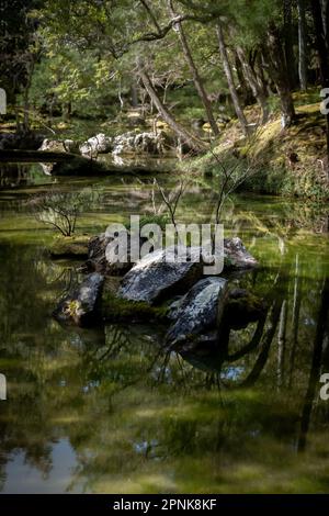 Estrattore Di Erba Portatile Leggero Da 30 Cm Rimozione Di Diserbo Per - Foto 12