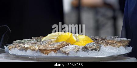 Porzione di cozze fresche con pezzi di limone su un vassoio con patatine di ghiaccio visualizzate sul mercato Foto Stock