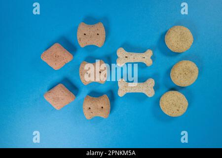 dieci biscotti per cani di forma diversa, isolati su sfondo blu Foto Stock