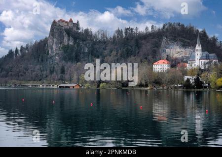 Il castello di Bled è un castello medievale situato su una roccia che domina il lago di Bled in Slovenia, è il più antico castello della Slovenia (14) Foto Stock