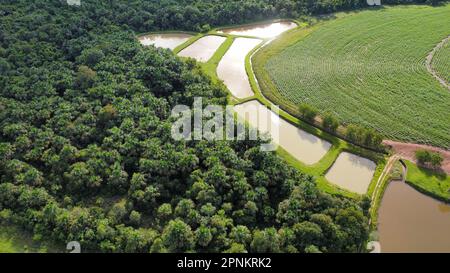 Vista aerea di un paesaggio sereno caratterizzato da un fiume tortuoso che serpeggia attraverso lussureggianti campi verdi e boschetti di alberi Foto Stock