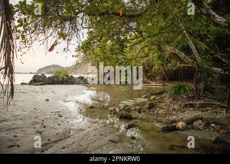 Biesanz Beach, Manuel Antonio, Costa Rica Foto Stock