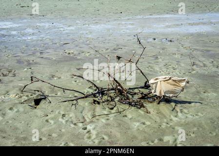 Santo Amaro, Bahia, Brasile - 15 maggio 2022: Sabbia sporca sulla spiaggia di Itapema in una giornata di sole. Città di Santo Amaro a Bahia. Foto Stock