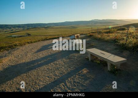 La riserva di papaveri dell'Antelope Valley è ricca di papaveri della California, vicino alla città di Lancaster, California, USA, dopo un inverno umido. Foto Stock