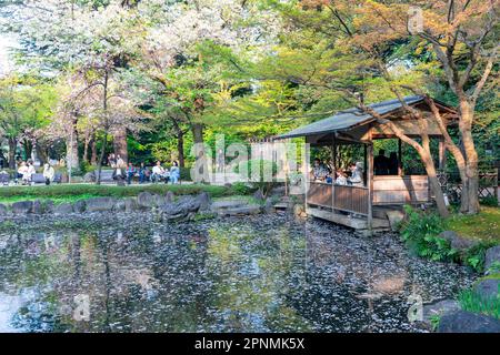 Tokyo 2023 aprile, Giardini Shinchi il Sacro Pond Garden nei terreni del santuario Yasukini a Chiyoda City, Tokyo, Giappone Foto Stock