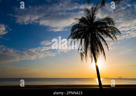 Silate l'albero di cocco sulla spiaggia prima del tramonto sfondo Foto Stock