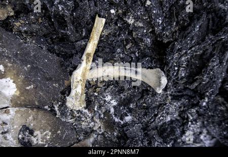 Particolare del vecchio crematorio con resti di ossa umane, cimitero Foto Stock