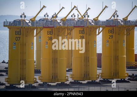 Sassnitz Mukran, Germania. 12th Apr, 2023. I pezzi di collegamento per le turbine eoliche si trovano nel porto di Port Mukran, sull'isola di Rügen. La gru 'Svanen' installerà presto le fondamenta per la centrale eolica offshore 'Baltic Eagle'. I pezzi di collegamento per le turbine eoliche sono già immagazzinati in Mukran. L'aquila baltica deve inoltre contribuire alla produzione di acciaio praticamente esente da CO2. A tal fine, la società energetica Iberdrola e la Salzgitter Flachstahl GmbH hanno concluso un accordo a lungo termine per la fornitura di energia elettrica. Credit: Stefan Sauer/dpa/Alamy Live News Foto Stock