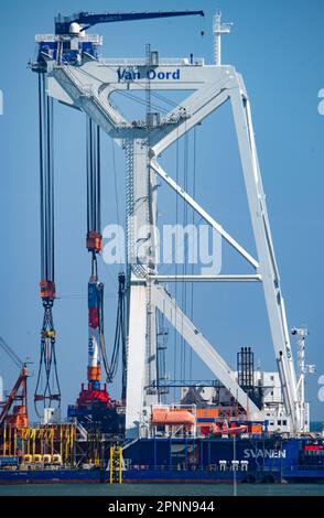 Sassnitz Mukran, Germania. 18th Apr, 2023. La gru 'Svanen' è ormeggiata nel porto di Port Mukran sull'isola di Rügen. La gru 'Svanen' installerà presto le fondamenta per la centrale eolica offshore 'Baltic Eagle'. I pezzi di collegamento per le turbine eoliche sono già immagazzinati in Mukran. L'aquila baltica deve inoltre contribuire alla produzione di acciaio praticamente esente da CO2. A tal fine, la società energetica Iberdrola e la Salzgitter Flachstahl GmbH hanno concluso un accordo a lungo termine per la fornitura di energia elettrica. Credit: Stefan Sauer/dpa/Alamy Live News Foto Stock