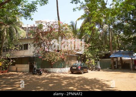 Aramnagar a Versova, Mumbai, è una piccola tasca di verde in un quartiere sempre più concreto e commercializzato. Foto Stock