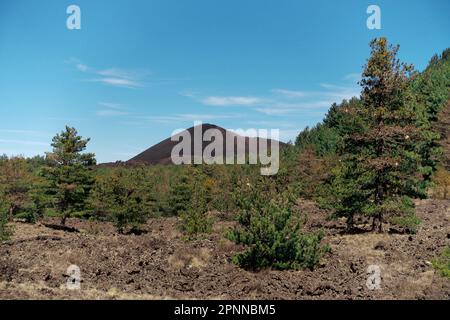 Paesaggio vulcanico con vulcano a cono di cenere nel Parco Nazionale dell'Etna, Sicilia, Italia Foto Stock