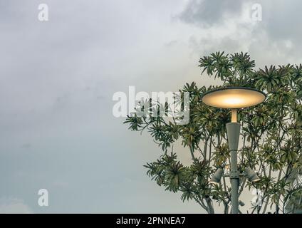 Luce di strada brillante su palo di metallo contro cespugli verdi con sfondo cielo blu. Composizione nel Parco cittadino, spazio copia, fuoco selettivo. Foto Stock