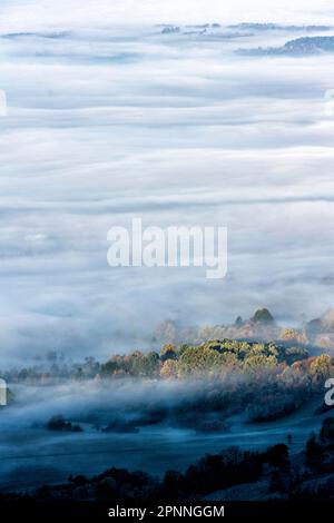 Vista dal Corno di Zeller sul paesaggio misterico dell'Albo Svevo, la foresta autunnale, Onstmettingen, Albstadt, Baden-Wuerttemberg, Germania Foto Stock