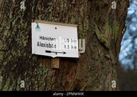 Sentiero escursionistico con indicazioni sulle montagne Harz presso l'Harzklub Foto Stock