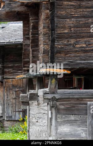 Tipica casa colonica del Vallese in legno, vetri di pietra proteggere contro topi, Niederwald, Goms, Vallese, Svizzera Foto Stock