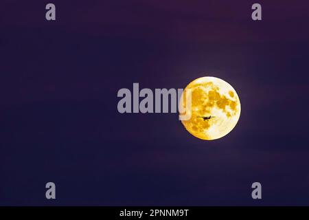 Piccolo aereo privato monomotore di fronte alla luna piena, Stoccarda, Baden-Wuerttemberg, Germania Foto Stock