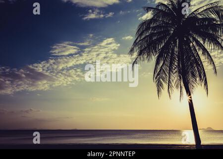 Silate l'albero di cocco sulla spiaggia prima del tramonto sfondo Foto Stock