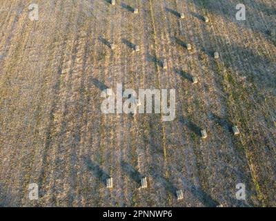 vista aerea di un campo appena raccolto punteggiato di fienate durante il tramonto. È perfetto per illustrare il processo agricolo e la bellezza di Foto Stock