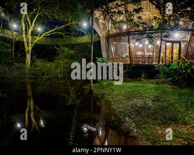 Alloggi glamping nella foresta pluviale Amazzonica. Treehouse in legno, Foresta pluviale Amazzonica, Amazzonia, Pacaya Samiria National Reserve, Perù, Sud America. Foto Stock