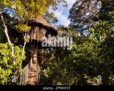 Alloggi glamping nella foresta pluviale Amazzonica. Treehouse in legno, Foresta pluviale Amazzonica, Amazzonia, Pacaya Samiria National Reserve, Perù, Sud America. Foto Stock