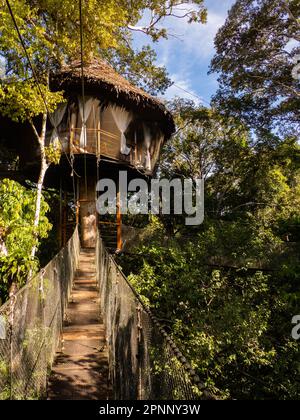 Alloggi glamping nella foresta pluviale Amazzonica. Treehouse in legno, Foresta pluviale Amazzonica, Amazzonia, Pacaya Samiria National Reserve, Perù, Sud America. Foto Stock