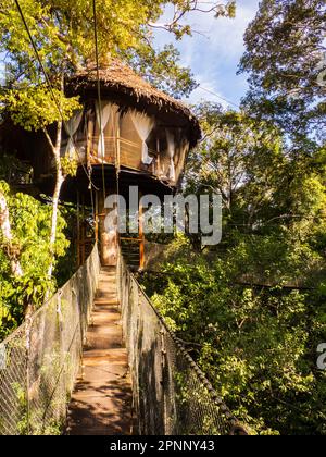 Alloggi glamping nella foresta pluviale Amazzonica. Treehouse in legno, Foresta pluviale Amazzonica, Amazzonia, Pacaya Samiria National Reserve, Perù, Sud America. Foto Stock