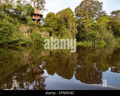 Alloggi glamping nella foresta pluviale Amazzonica. Treehouse in legno, Foresta pluviale Amazzonica, Amazzonia, Pacaya Samiria National Reserve, Perù, Sud America. Foto Stock