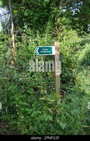 Cartello verde e bianco della bridleway pubblica montato su un palo di legno con piante selvatiche che crescono sullo sfondo Foto Stock