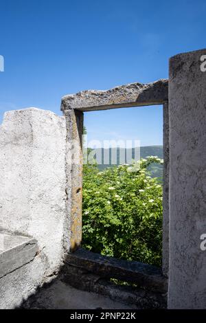 Verdi colline, siepi, alberi e campi vicino a Motovun, Istria, Croazia con un cielo blu chiaro Foto Stock