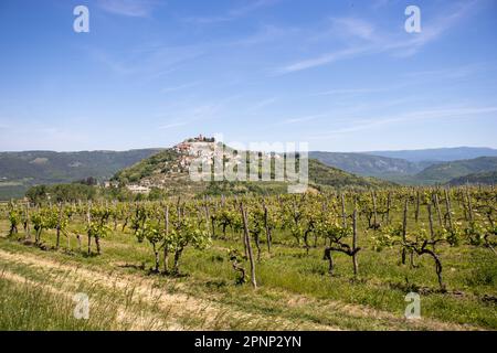 Il villaggio di Motovun, Istria, Croazia e montagne sullo sfondo con un cielo azzurro chiaro Foto Stock