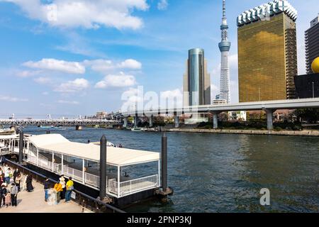 Il fiume Tokyo Sumida passa davanti agli uffici Tokyo Sky Tree e Asahi e alla birreria, Tokyo, 2023 aprile, Giappone, Asia Foto Stock