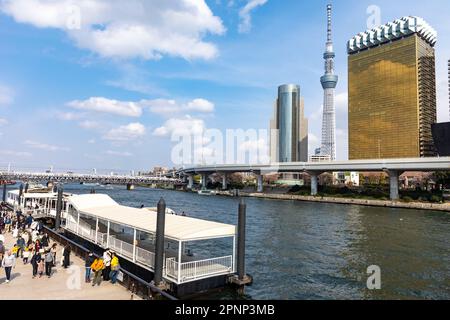 Il fiume Tokyo Sumida passa davanti agli uffici Tokyo Sky Tree e Asahi e alla birreria, Tokyo, 2023 aprile, Giappone, Asia Foto Stock