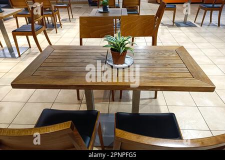 Tavolo in legno con sedie e retro in un caffè. Pianta di casa in una pentola su un tavolo in una caffetteria. Set cucina in legno. Camera con pavimenti piastrellati e tavolo Foto Stock