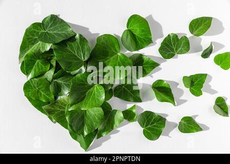 Ambiente, energia verde, concetto ecologico. Foglie verdi a forma di cuore soffiano dal vento. Energia verde, risorse rinnovabili e sostenibili Foto Stock
