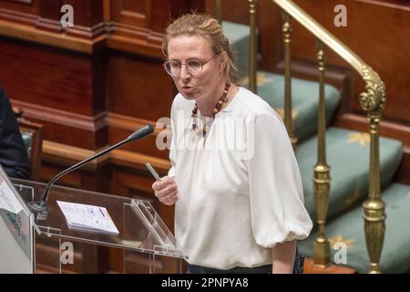 Bruxelles, Belgio. 20th Apr, 2023. Cecile Cornet di Ecolo ha illustrato in una sessione plenaria della Camera al Parlamento federale di Bruxelles giovedì 20 aprile 2023. FOTO DI BELGA NICOLAS MAETERLINCK Credit: Belga News Agency/Alamy Live News Foto Stock