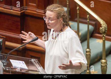 Bruxelles, Belgio. 20th Apr, 2023. Cecile Cornet di Ecolo ha illustrato in una sessione plenaria della Camera al Parlamento federale di Bruxelles giovedì 20 aprile 2023. FOTO DI BELGA NICOLAS MAETERLINCK Credit: Belga News Agency/Alamy Live News Foto Stock