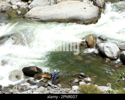 Veduta aerea di un uomo pesca alla trota nel fiume Tirthan, Himachal Pradesh, India Foto Stock