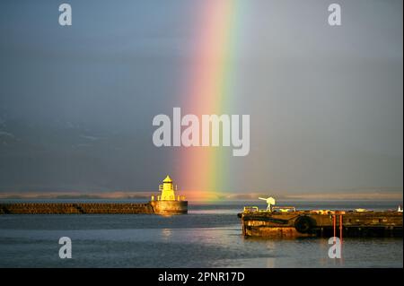 Arcobaleno nel vecchio porto di Reykjavik, Islanda. Foto Stock