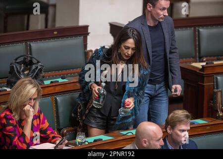 Bruxelles, Belgio. 20th Apr, 2023. Darya Safai di N-VA è stato raffigurato nel corso di una sessione plenaria della Camera al Parlamento federale a Bruxelles giovedì 20 aprile 2023. FOTO DI BELGA NICOLAS MAETERLINCK Credit: Belga News Agency/Alamy Live News Foto Stock