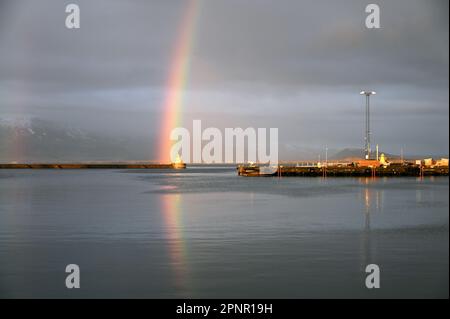 Arcobaleno nel vecchio porto di Reykjavik, Islanda. Foto Stock