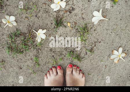 Vista dall'alto di una donna a piedi nudi sulla spiaggia tra fiori frangipani, Thailandia Foto Stock