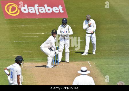 Hove UK 20th Aprile 2023 - Tom Alsop battendo per il Sussex contro lo Yorkshire durante la partita di cricket LV= Insurance County Championship al 1st Central County Ground di Hove : Credit Simon Dack /TPI/ Alamy Live News Foto Stock