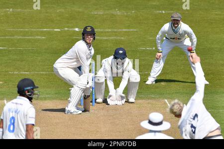 Hove UK 20th Aprile 2023 - Tom Alsop battendo per il Sussex contro lo Yorkshire durante la partita di cricket LV= Insurance County Championship al 1st Central County Ground di Hove : Credit Simon Dack /TPI/ Alamy Live News Foto Stock