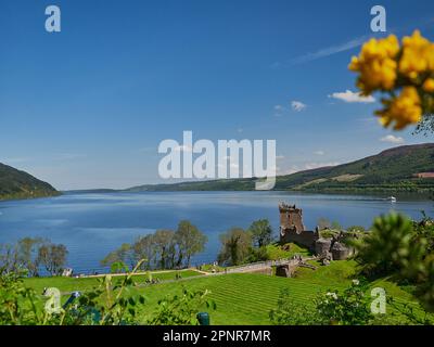 Drumnadrochit, Scozia - 05 23 2018: Urquhart Castello situato sulle rive di Loch Ness, Scozia in una chiara giornata di sole con cielo blu. Foto Stock