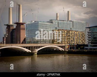 Appartamenti abitabili a prezzi accessibili costruiti tra gli sviluppatori blocchi di appartamenti di lusso premium sul lato sud del Tamigi accanto alla centrale elettrica di Battersea Foto Stock