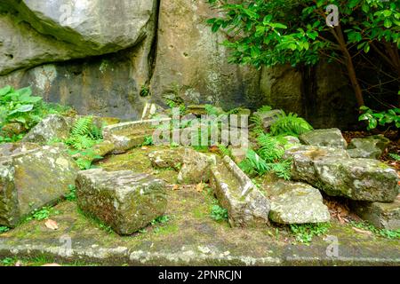 Cumulo di rovine della cappella tardo gotica distrutta di Sant'Anna di Hohnstein Castello a Hohnstein, Svizzera Sassonia, Sassonia, Germania, Europa. Foto Stock