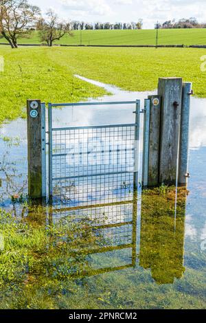 Un cancello di campo sul sentiero del Tamigi National Trail sotto l'acqua dopo la pioggia molto vicino alla sorgente del Tamigi a Tamigi testa sul Cotswolds vicino a KE Foto Stock