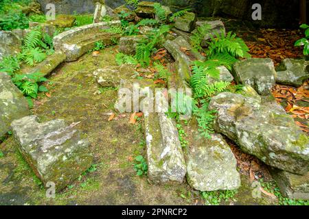 Cumulo di rovine della cappella tardo gotica distrutta di Sant'Anna di Hohnstein Castello a Hohnstein, Svizzera Sassonia, Sassonia, Germania, Europa. Foto Stock